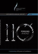 https://www.pic.gov.za/ImageAnnualRpt/2021%20Annual%20Report%20Web.JPG
